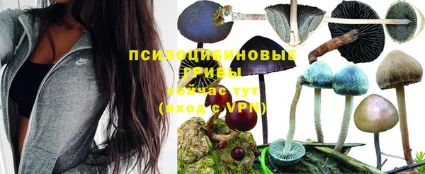 2c-b Куйбышев
