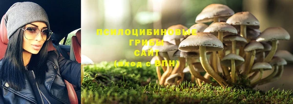 2c-b Куйбышев